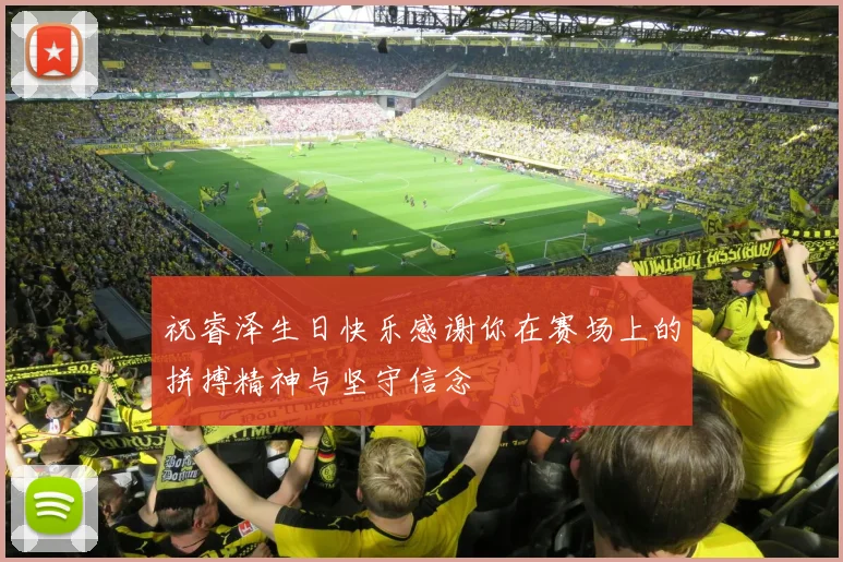 祝睿泽生日快乐感谢你在赛场上的拼搏精神与坚守信念