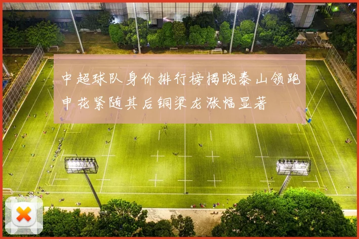 中超球队身价排行榜揭晓泰山领跑申花紧随其后铜梁龙涨幅显著