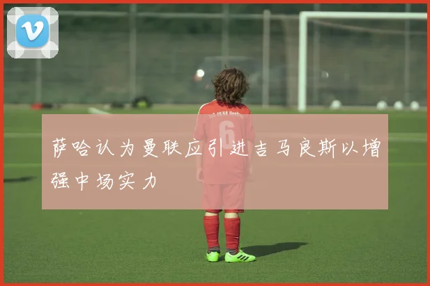 萨哈认为曼联应引进吉马良斯以增强中场实力